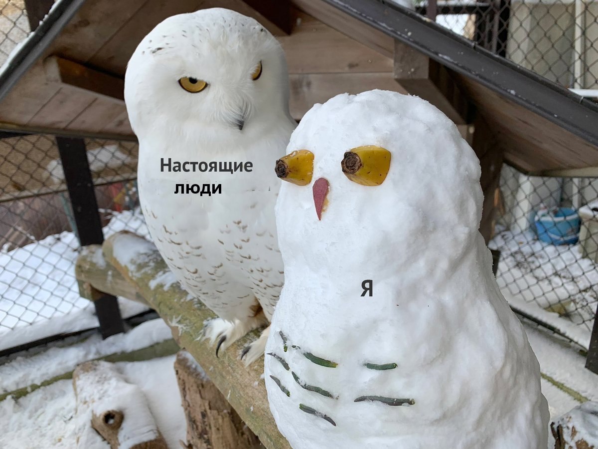 Настоящие люди