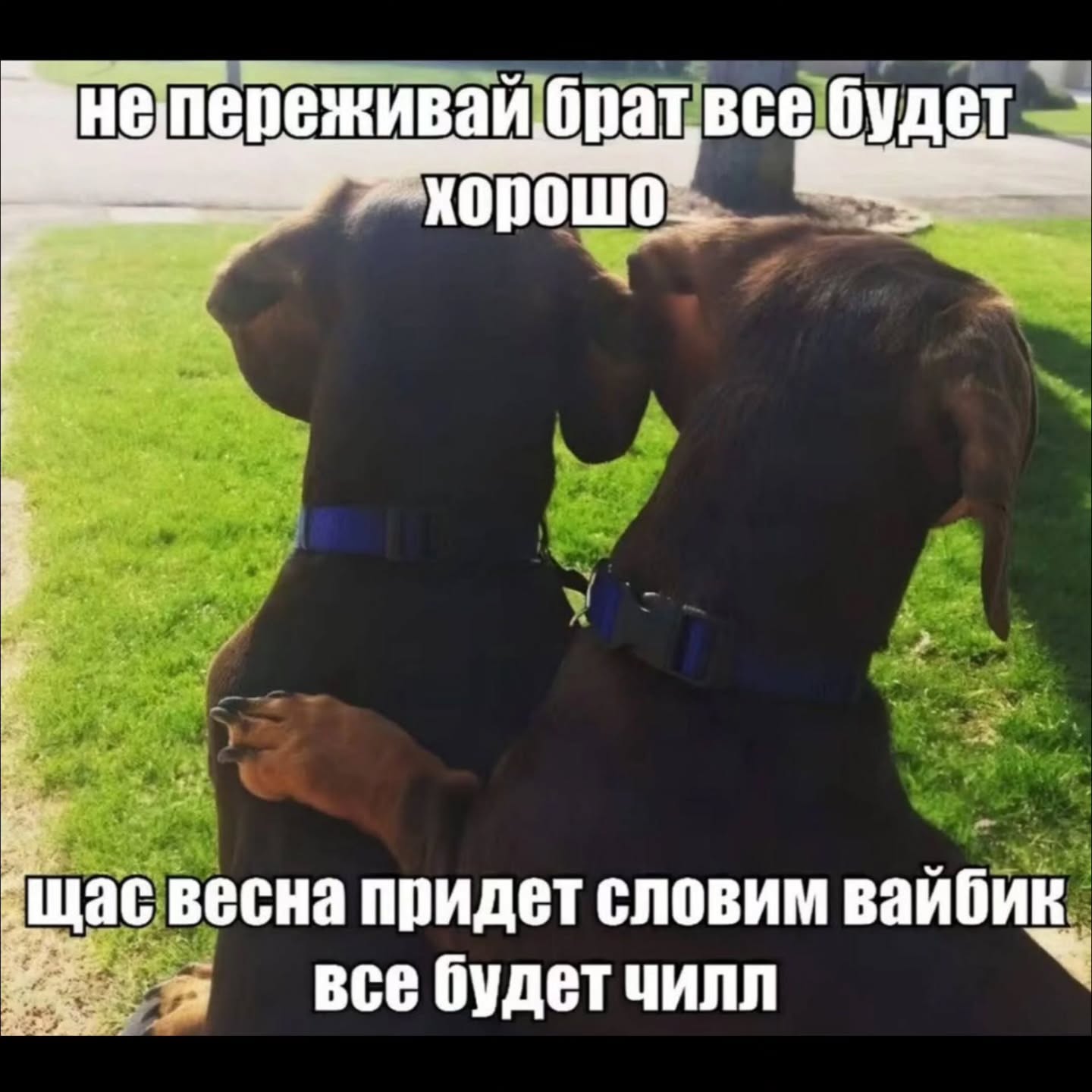 непереживай брат все будет XOpowo весна придет словим вайбик все будет чилл