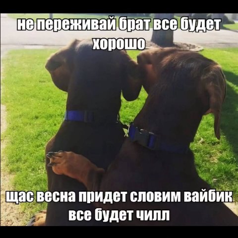 непереживай брат все будет XOpowo весна придет словим вайбик все будет чилл