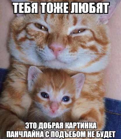ТЕБЯ ТОЖЕ ЛЮБЯТ ЭТО ДОБРАЯ КАРТИНКА ПАНЧЛАЙНА С ПОДЪЕБОМ НЕ БУДЕТ