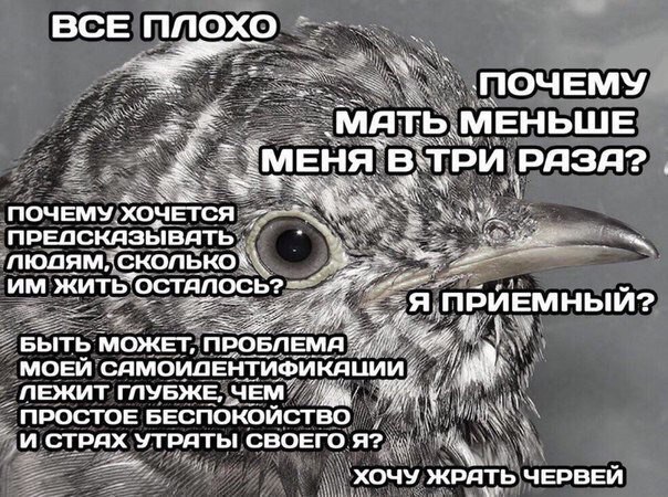 это админ все выходные
