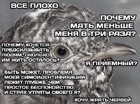 это админ все выходные
