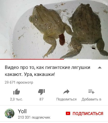 Видео про то, как гигантские лягушки какают. Ура, какашки! 29 671 просмотр a 2,3 тыс. 87 Поделиться Добавить в 48 Yoll ПОДПИСАТЬСЯ 213 331 подписчик