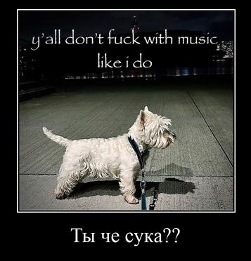 yall don’t fuck with MUSIC, like ido ный Ты че сука??