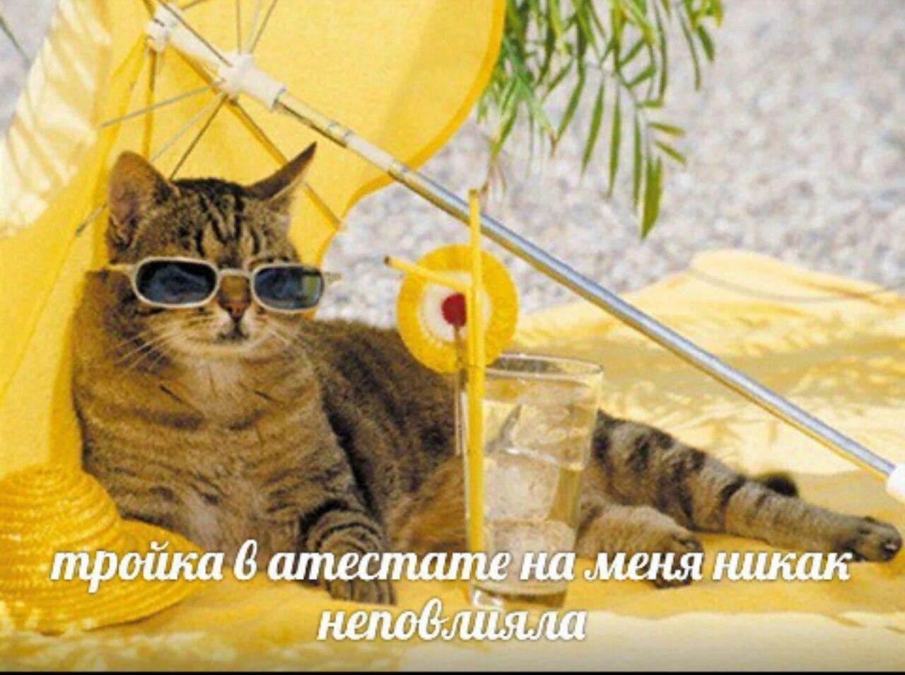 we 6 amecmame на меня никак
