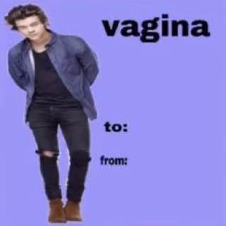 vagina