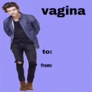 vagina