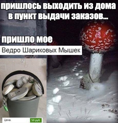 пришлось выходить из дома в пункт выдачи заказов... пришло MOE Ведро Шариковых Мышек у.