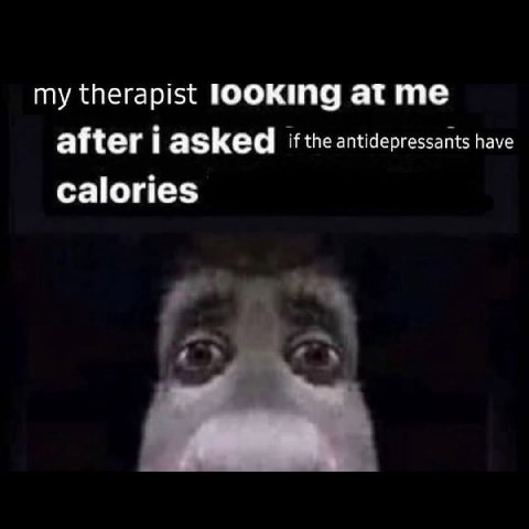 therapist атте after asked if the antidepressants have calories