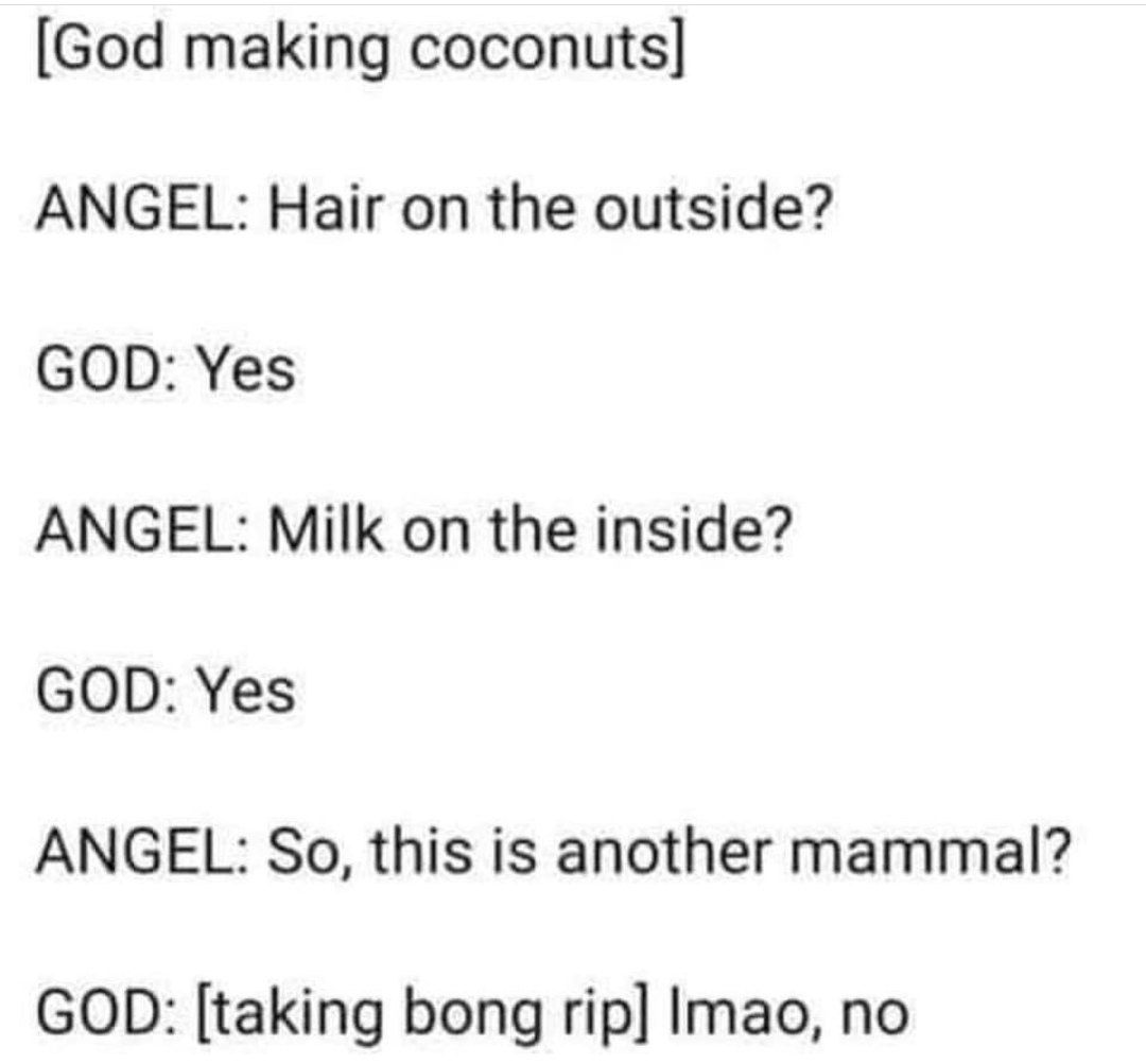 [God making coconuts] ANGEL: Hair on the outside? GOD: Yes ANGEL: Milk on the inside? GOD: Yes ANGEL: So, this is another mammal? GOD: [taking bong Imao, no
