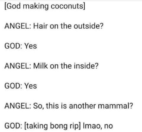 [God making coconuts] ANGEL: Hair on the outside? GOD: Yes ANGEL: Milk on the inside? GOD: Yes ANGEL: So, this is another mammal? GOD: [taking bong Imao, no