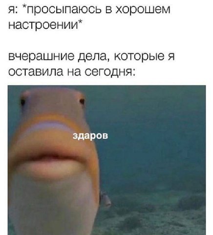 я: *просыпаюсь в хорошем настроении* вчерашние дела, которые я оставила на сегодня: здаров