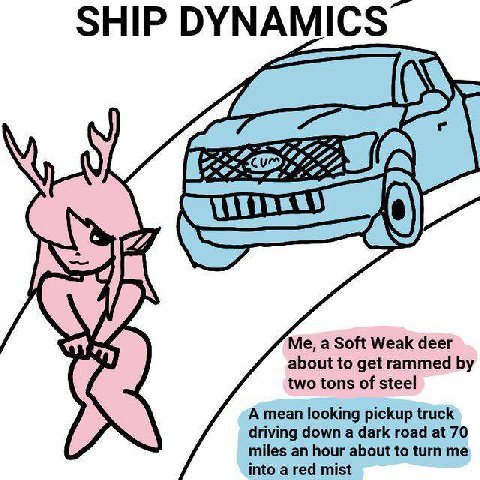 SHIP DYNA MICS SOR #7, AS Me, а Soft Weak deer about to get rammed two tons of steel A mean looking pickup truck driving down a dark road at 70 miles an hour about to turn me into a red mist