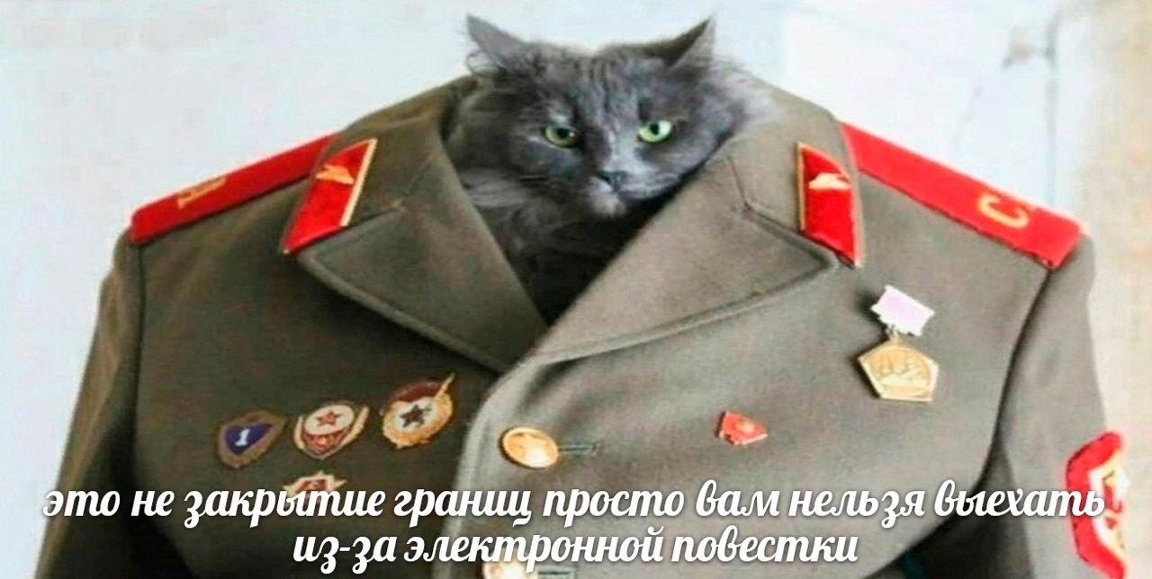 7 1 pmo He грашй просто из-за электронной побестки