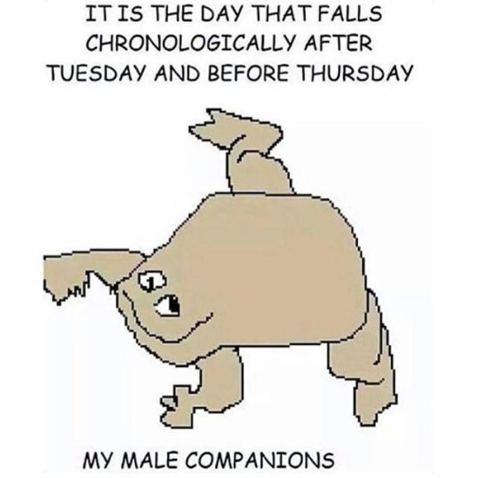 IT IS THE DAY THAT FALLS CHRONOLOGICALLY AFTER TUESDAY AND BEFORE THURSDAY MY MALE COMPANIONS