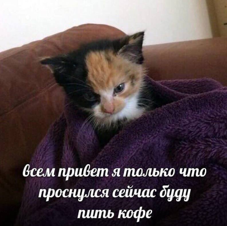 бсем привет я только что проснулся сейчас дуду пить кофе