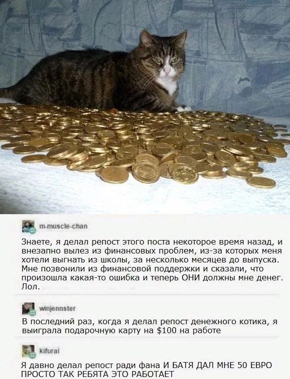 m-muscie-chan Знаете, я делал репост этого поста некоторое время назад, и внезапно вылез из финансовых проблем, из-за которых меня хотели выгнать из школы, за несколько месяцев до выпуска. Мне позвони