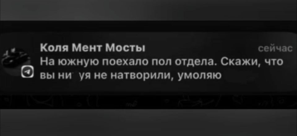 Коля Мент Мосты сейчас На южную поехало пол отдела. Скажи, что вы ни не натворили, умоляю