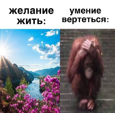 желание умение ЖИТЬ: вертеться: A {Sng Gia ene у