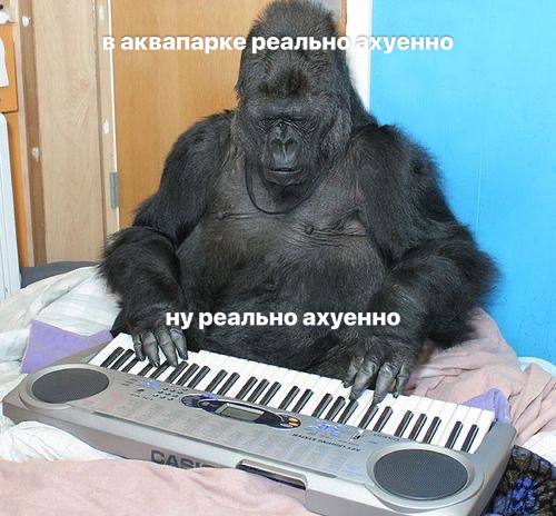 аквапарке реальна уенно ну реально ахуенно 4