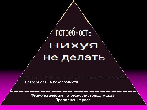 потребность ныхуя не делать Потребности в безопасности Физиологические потребности: голод, жажда Продолжение рода