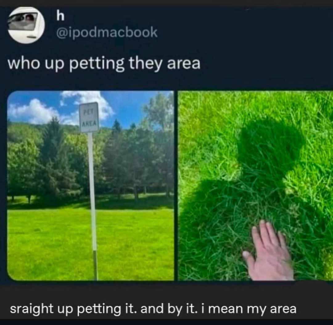 1 @ipodmacbook who up petting they area 4 A sraight up petting it. and it. imean my area