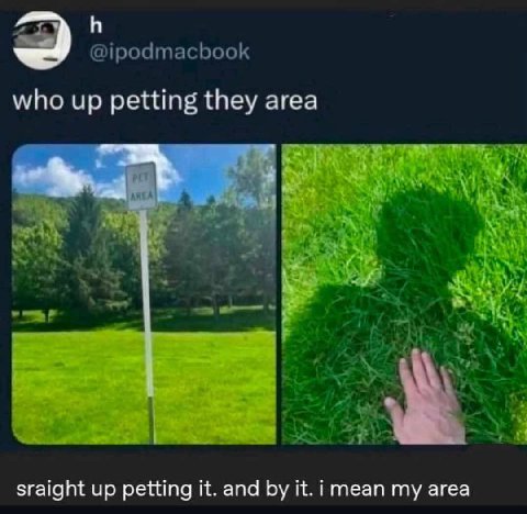 1 @ipodmacbook who up petting they area 4 A sraight up petting it. and it. imean my area