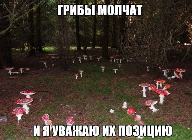 ГРИБЫ МОЛЧАТ ИЯ'УВАЖАЮ ПОЗИЦИЮ