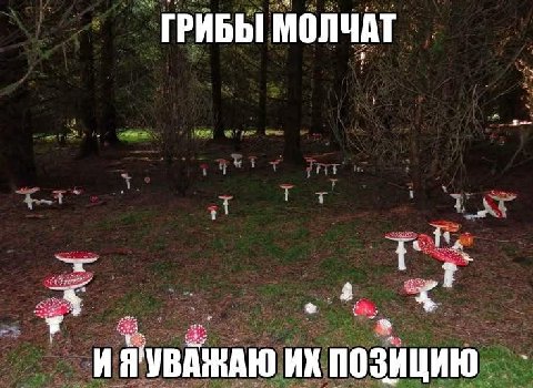 ГРИБЫ МОЛЧАТ ИЯ'УВАЖАЮ ПОЗИЦИЮ