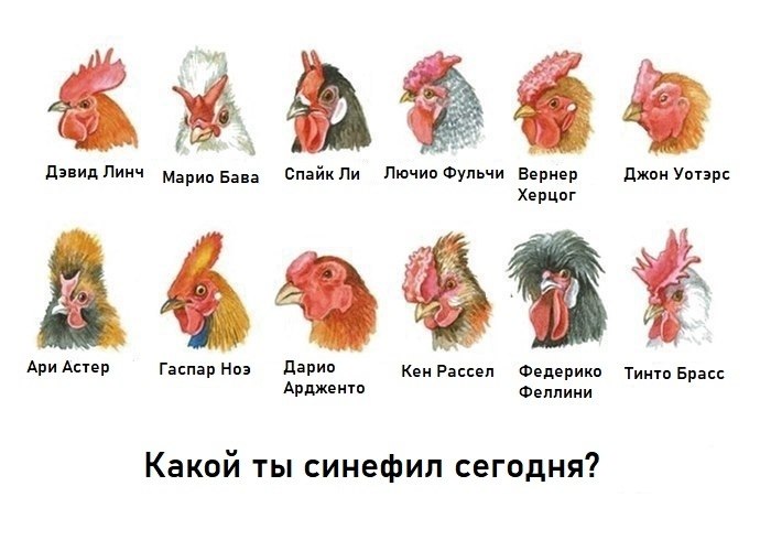 Дэвид Линч Марио Бава Спайк Ли Лючио Фульчи Вернер Джон Уотэрс Херцог Ари Астер Гаспар Hos Дарио Кен Рассел Федерико Тинто Брасс Ардженто Феллини Какой ты синефил сегодня?