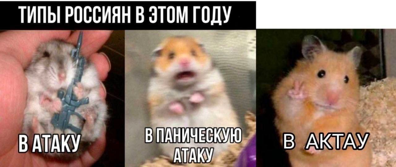 ТИПЫ РОССИЯН В ЭТОМ ГОДУ a В АТАКУ АКТАУ.