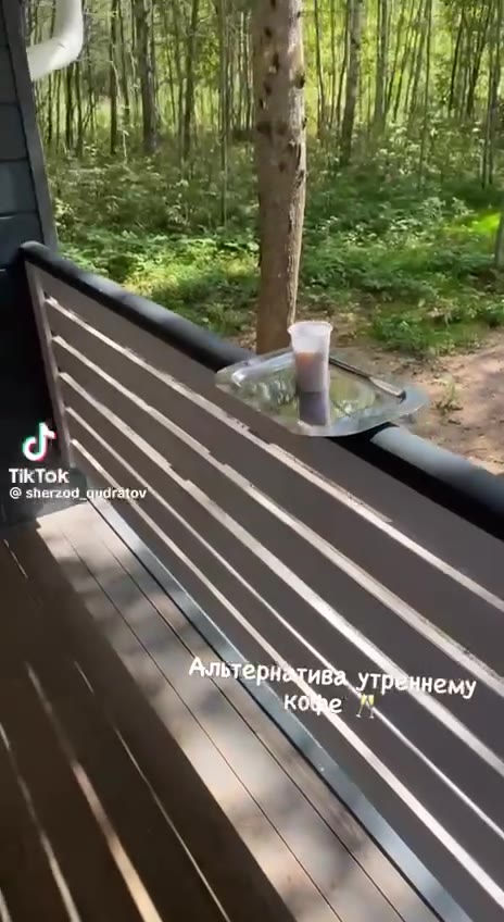 2 Альтер ему