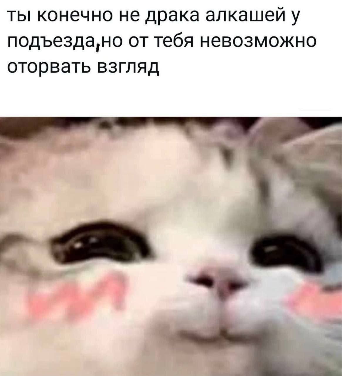 ты конечно не драка алкашей у подъезда,но от тебя невозможно оторвать взгляд