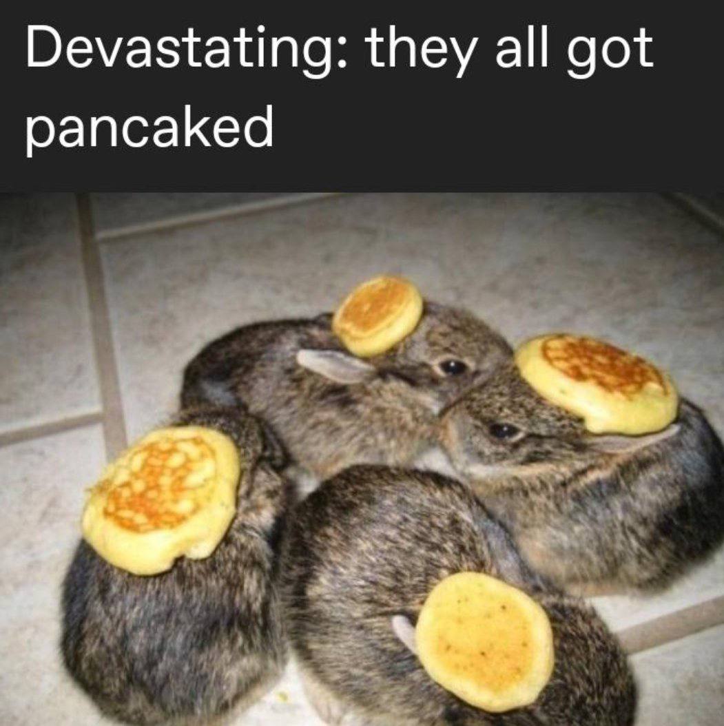Devastating: they all got pancaked