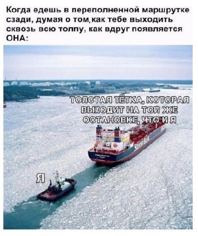 Когда едешь в переполненной маршрутке сзади, думая о том, как тебе выходить сквозь всю толпу, как вдруг появляется ОНА: КОТОРАЯ ТОЙ SKE Я)