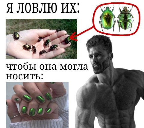 Я ЛОВЛЮ чтобы она могла НОСИТЬ:
