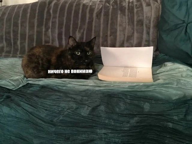 ничего не понимаю