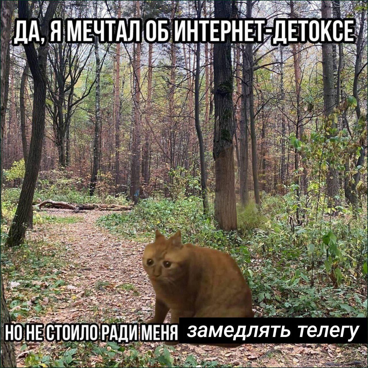 МЕЧТАЛ ОБ ДА, Я 4 4 44 a В at a in 3 Nea a nee НО. НЕ РАДИ МЕНЯ замедлять телегу