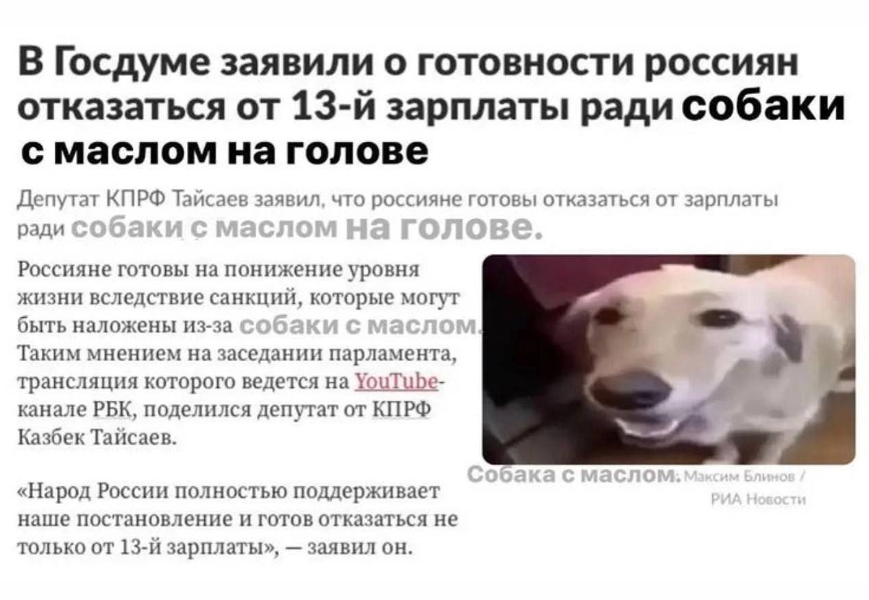 В Госдуме заявили о готовности россиян отказаться от зарплаты ради собаки с маслом на голове Депутат КПРФ Тайсаев заявил, что россияне готовы отказаться от зарплаты ради Россияне готовы на понижение у