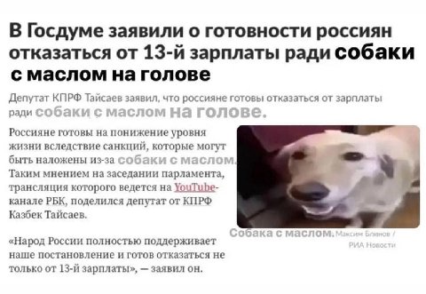 В Госдуме заявили о готовности россиян отказаться от зарплаты ради собаки с маслом на голове Депутат КПРФ Тайсаев заявил, что россияне готовы отказаться от зарплаты ради Россияне готовы на понижение у