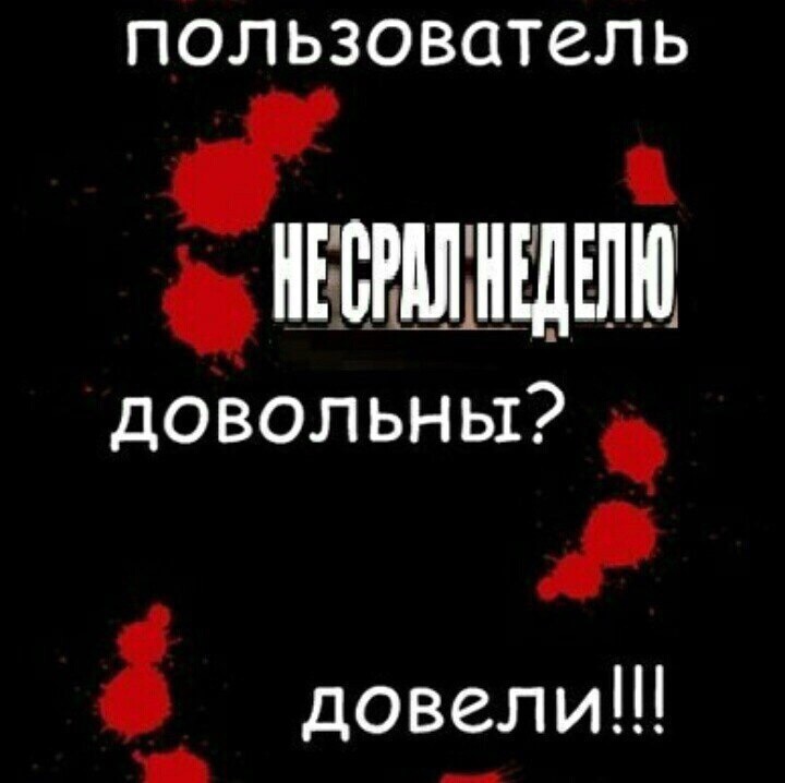 пользователь не срал неделю! довльны? довели!!!