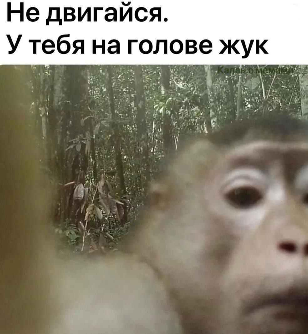 Не двигайся. У тебя на голове жук