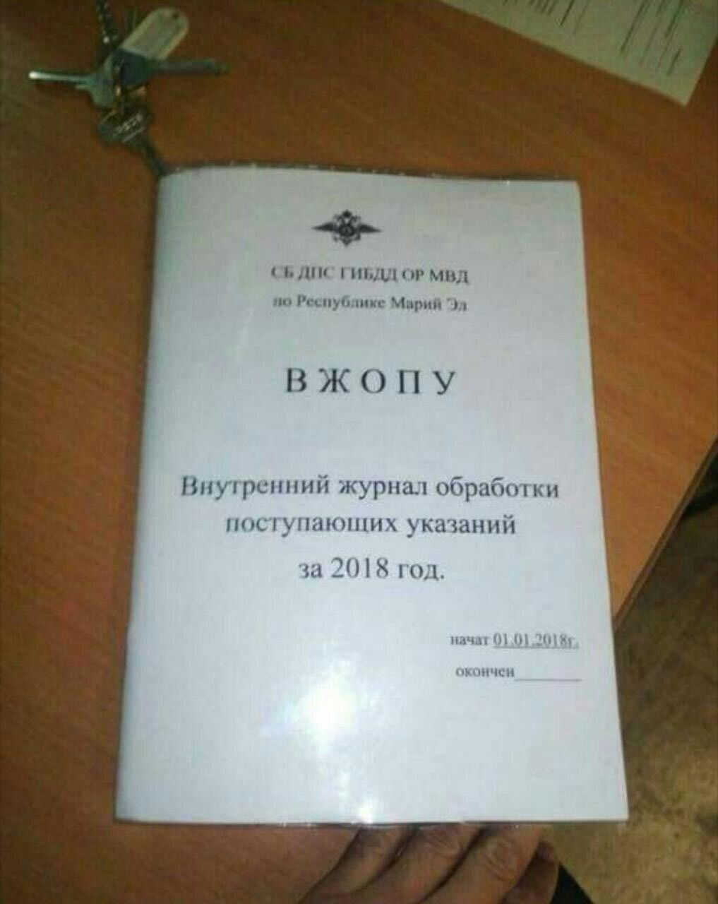 ДИС ГИБДД МВД по Республике Марий ВЖОПУ Внутренний урнал обработки поступающих указаний за 2018 год. 10 начат