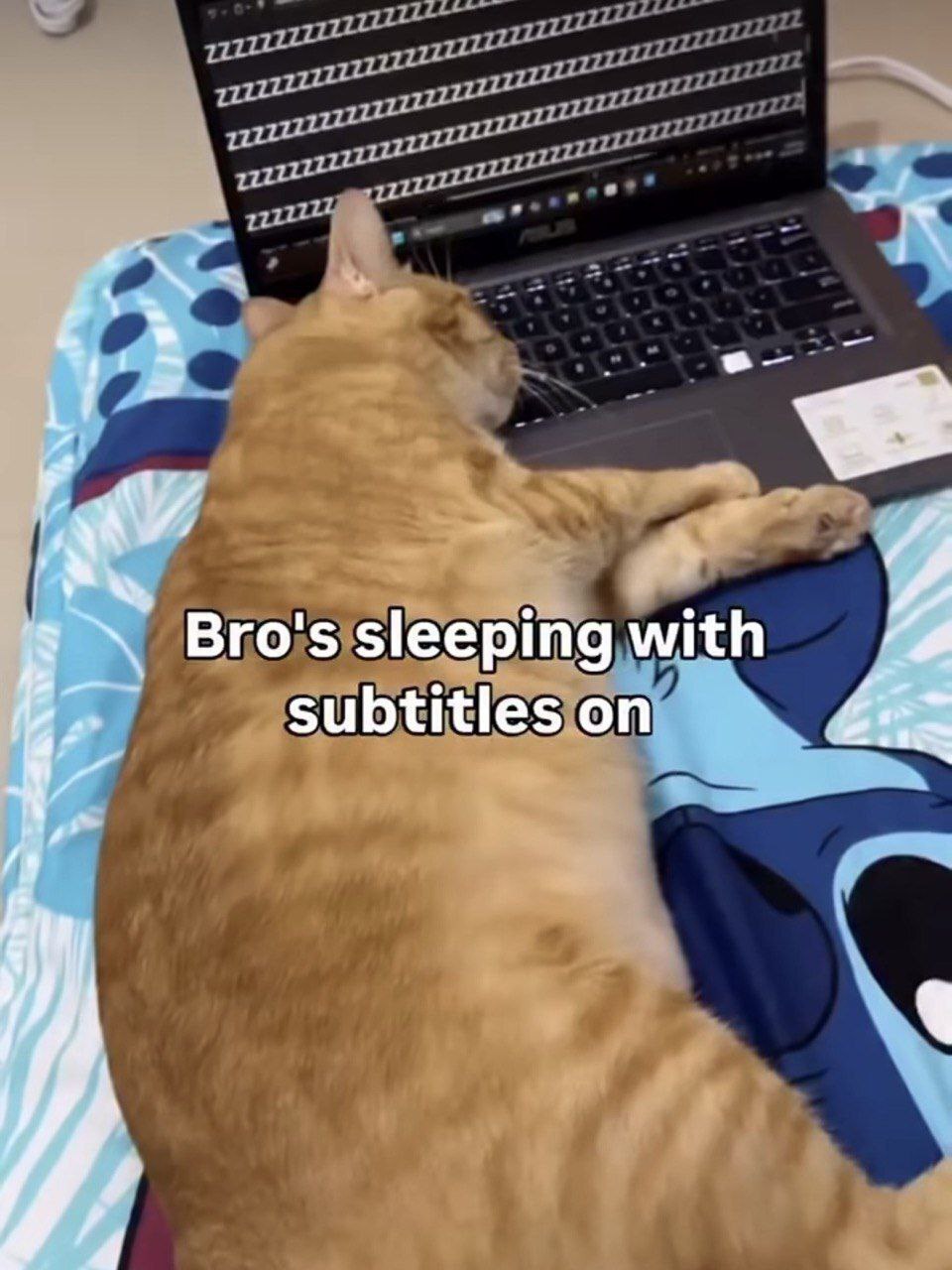 Bro's sleeping with subtitles on