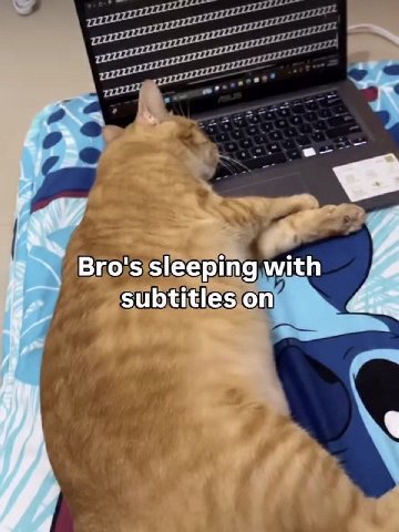 Bro's sleeping with subtitles on