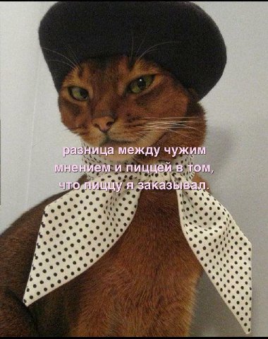 “у разница между чужим мнением и пиццей в том, я заказывал. on