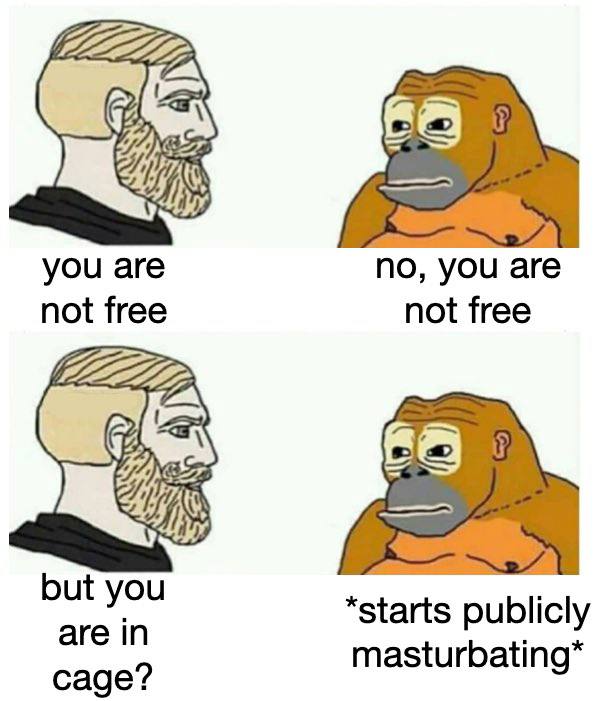 you are No, you are not free not free but you *starts publicly are in ina* masturbating cage?