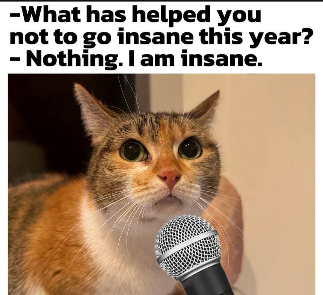 -What has helped you not to insane this year? Nothing. insane.
