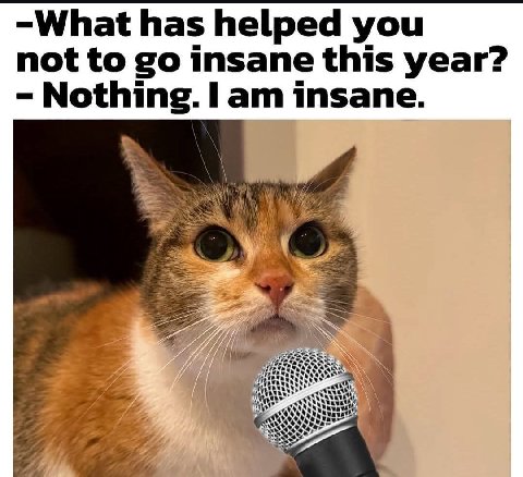 -What has helped you not to insane this year? Nothing. insane.
