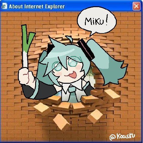 Internet Explorer